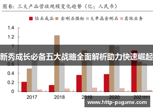 新秀成长必备五大战略全面解析助力快速崛起