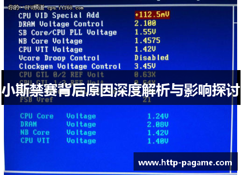 小斯禁赛背后原因深度解析与影响探讨