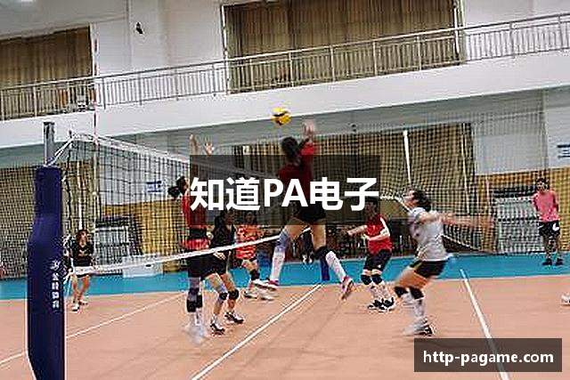 知道PA电子